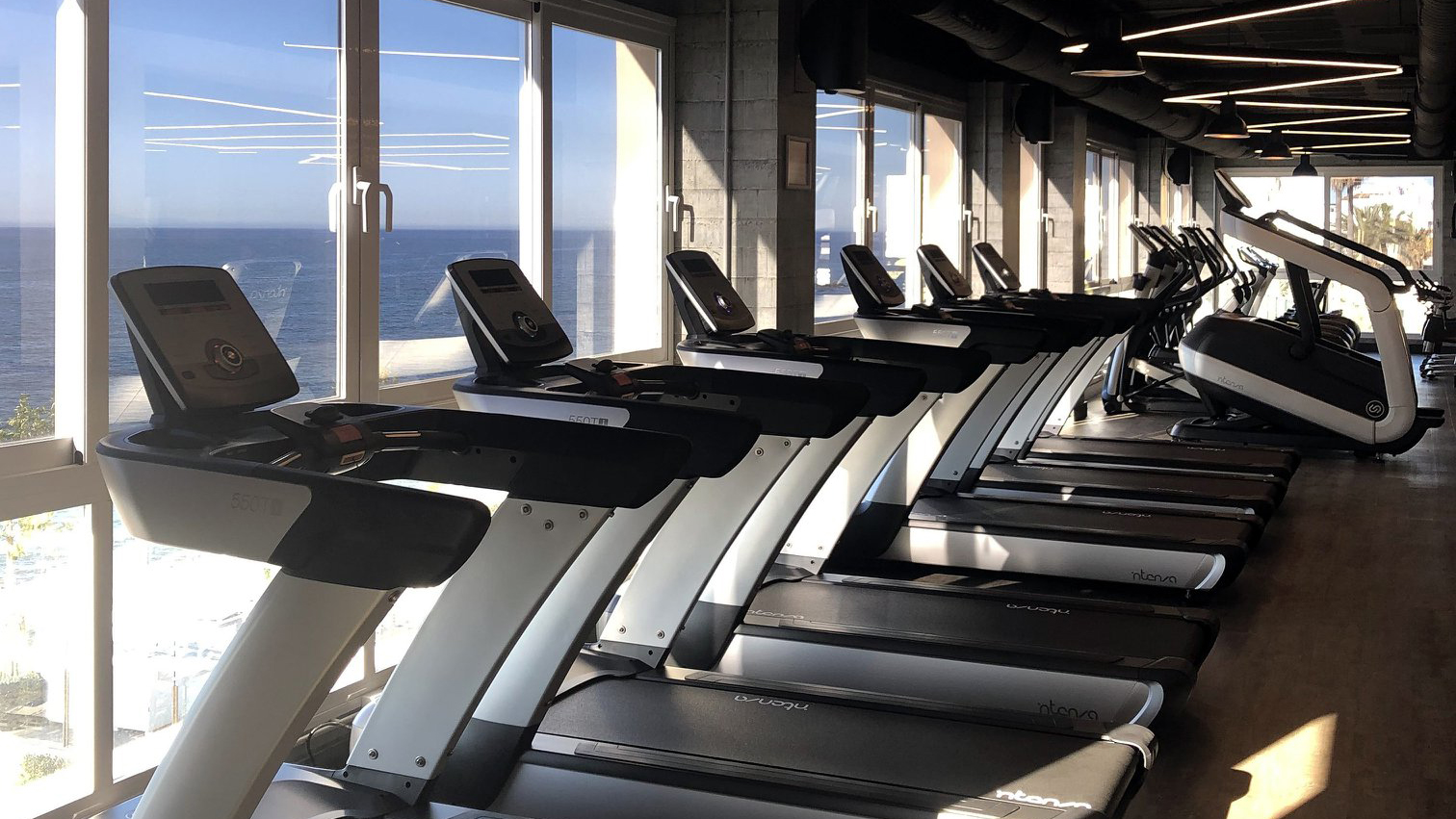 Adjoining Max Beach Intenza Fitness cardio line Treadmill