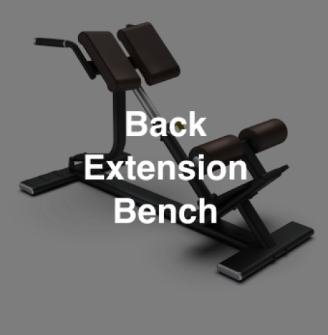 Back Extension Bench
