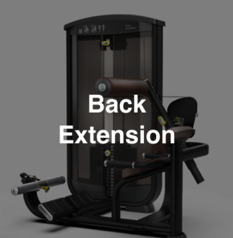 Back Extension