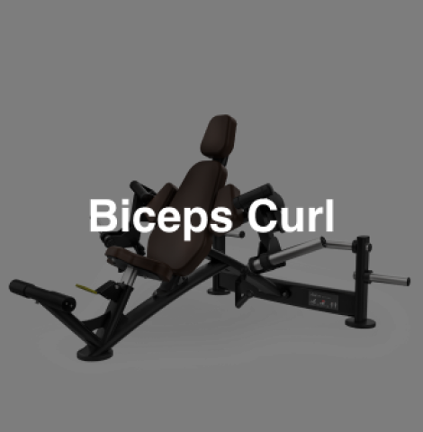 Biceps Curl