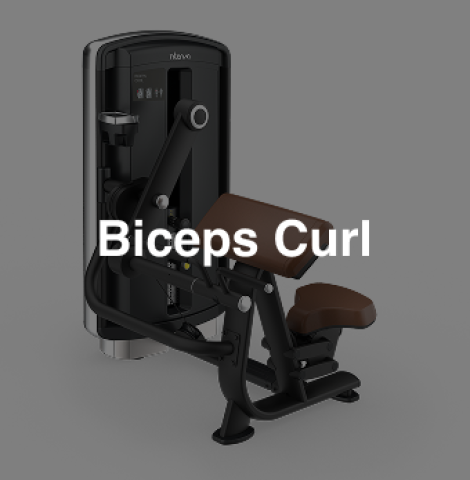 Intenza DL-01 Biceps Curl