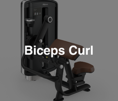 Intenza DL-01 Biceps Curl