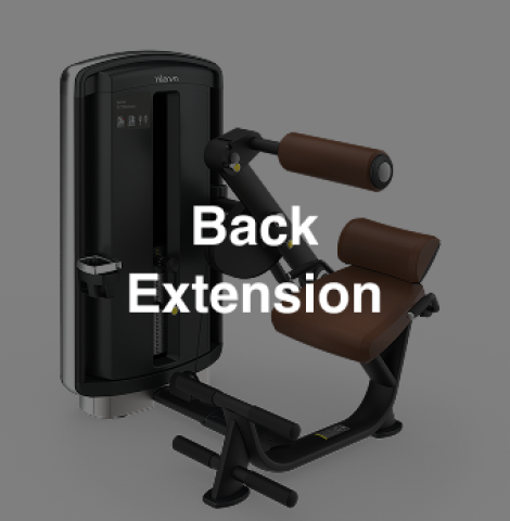 Intenza DL-05 Back Extension