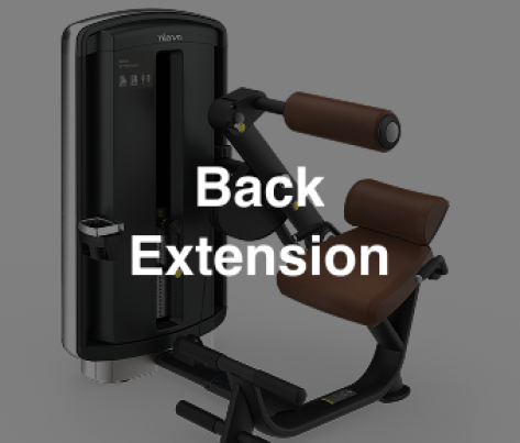 Intenza DL-05 Back Extension