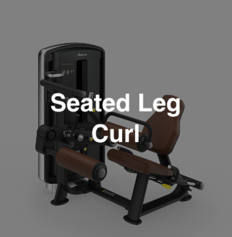 Intenza DL-08 Seated Leg Curl
