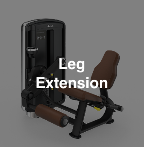 Intenza DL-09 Leg Extension