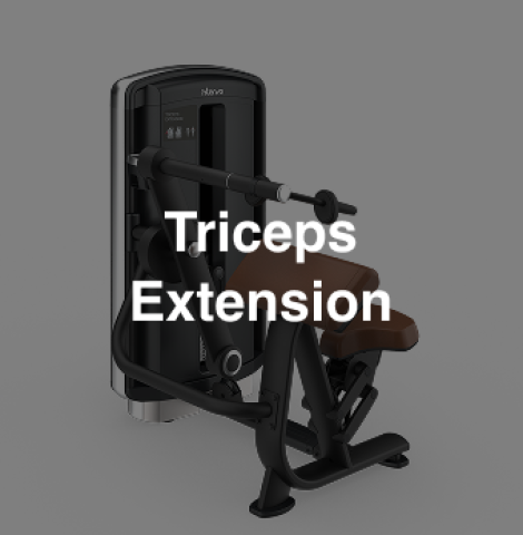 Intenza DL-11 Triceps Extension