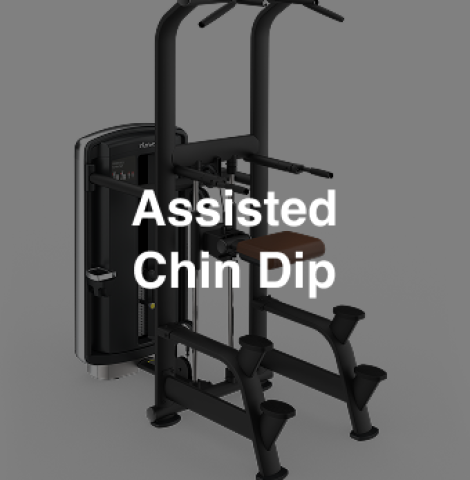 IntenzaDL-12 Assisted Chin Dip