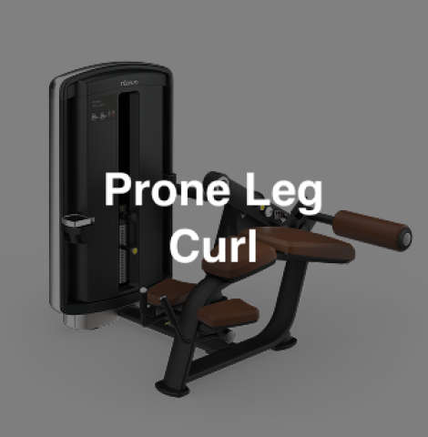 Intenza DL-15 Prone Leg Curl