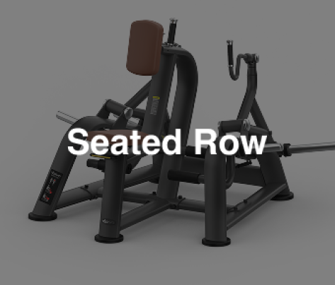 Intenza ZL-04 Seated Row