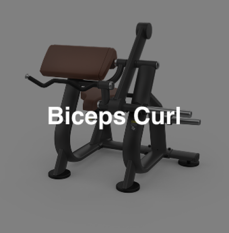 Intenza-ZL05-Biceps Curl