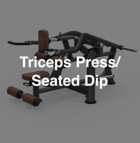 Intenza-ZL06-Triceps Press&Seated Dip
