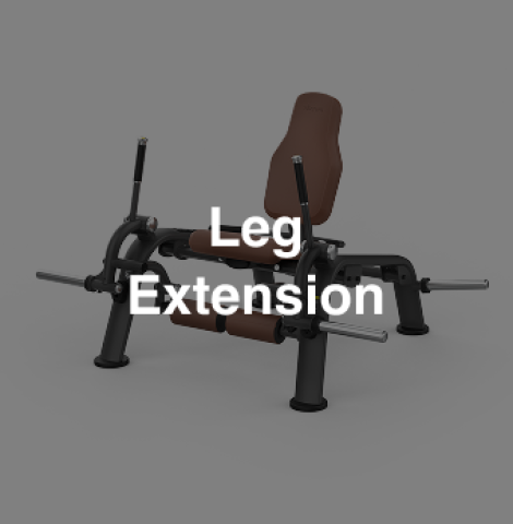 Intenza-ZL08-Leg Extension