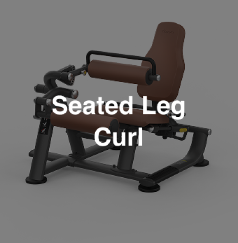 Intenza-ZL09-Seated Leg Curl