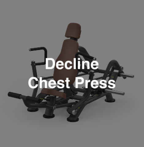 Intenza-ZL13-Decline Chest Press