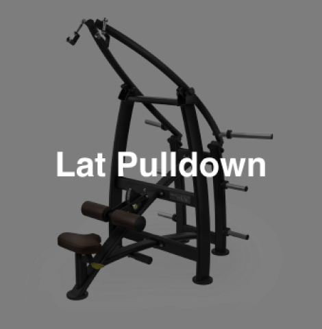 Lat Pulldown