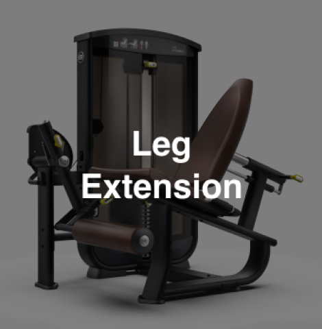 Leg Extension