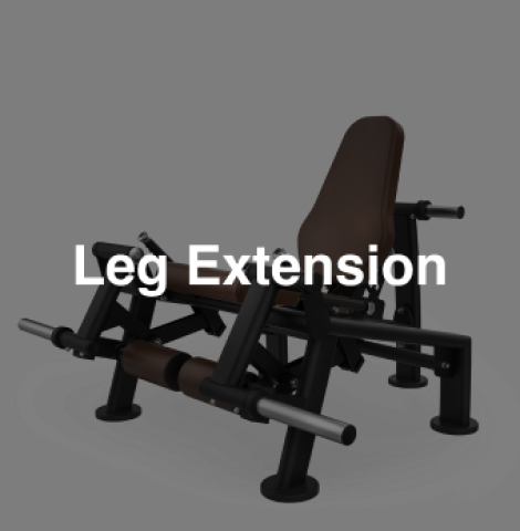 Leg Extension
