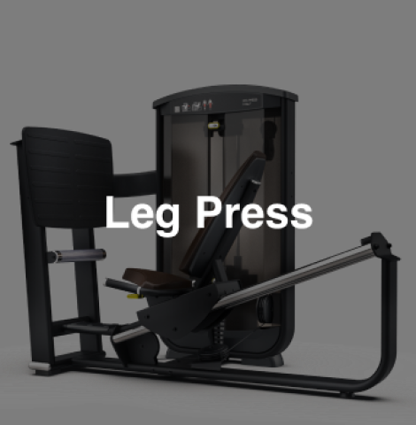 Leg Press