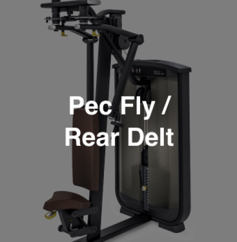 Pec Fly _ Rear Delt