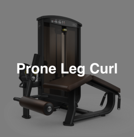 Prone Leg Curl