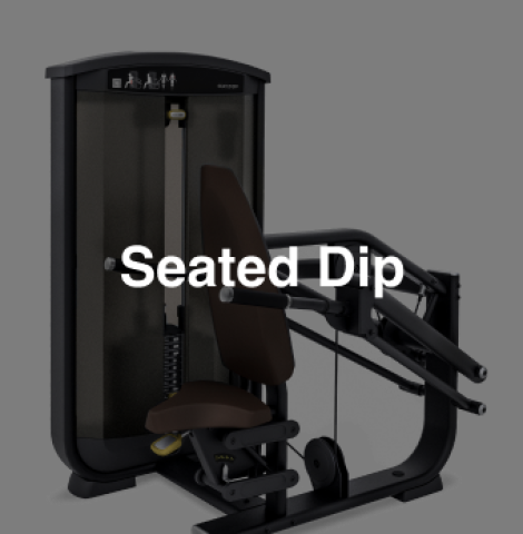 Seated Dip