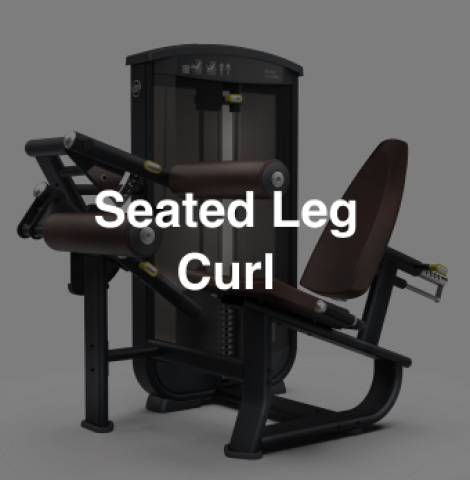 Seated Leg Curl