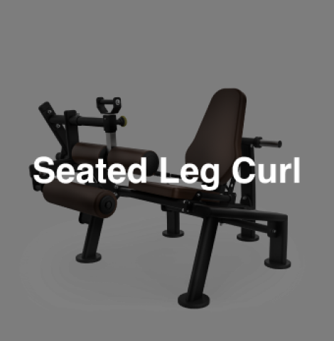Seated Leg Curl