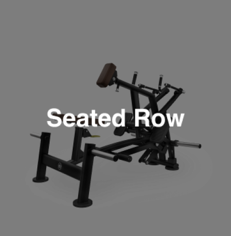 Seated Row