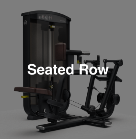 Seated Row