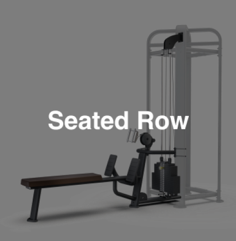 Seated Row