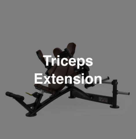 Triceps Extension