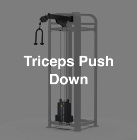 Triceps Push Down